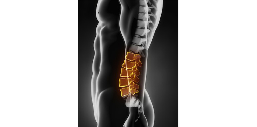 Physiotherapy Class for Self-Management of Low Back Pain  – 25 Feb 2023